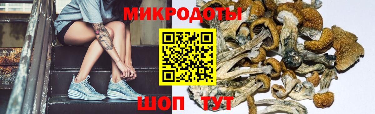 Прокопьевск  Галлюциногенные грибы GOLDEN TEACHER  Вход с VPN 